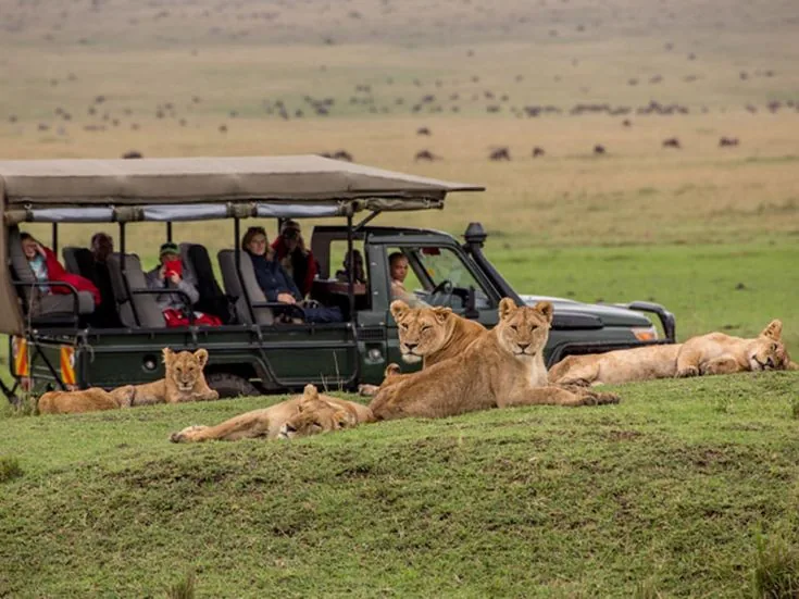 Masai Mara